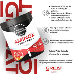 Aminox 4:2:2 350g - 35 Servicios